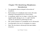 Chapter VII: Identifying Morphemes