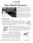 Saco Heath Preserve - The Nature Conservancy