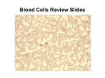 Blood Cells Review Slides