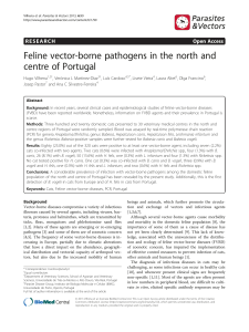 Feline vector-borne pathogens in the north and centre of Portugal