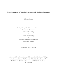 Novel Regulators of Vascular Development in Arabidopsis