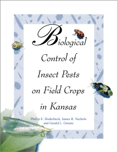 MF2222 Biological control of Insect Pests on Field Crops in Kansas