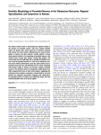 Dendritic Morphology of Pyramidal Neurons in the