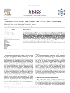 Development of the genetic code: Insights from a fungal