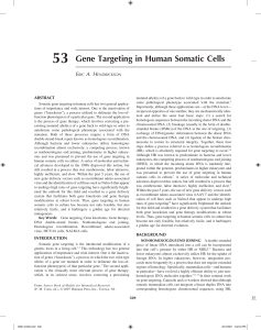 53 Gene Targeting in Human Somatic Cells
