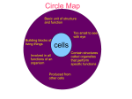 cells Circle Map