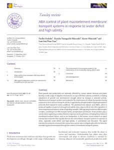 ABA control of plant macroelement membrane transport systems in