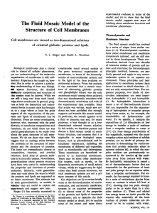 The FluidMosaic Model of the Structure of Cell Membranes