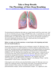 Take a Deep Breath: The Physiology of Slow Deep Breathing