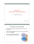 Chapter 10 Section 10_3 Regulating the Cell Cycle