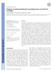 Progress in understanding the assembly process of bacterial O