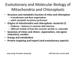 Evolutionary and Molecular Biology of Mitochondria and Chloroplasts