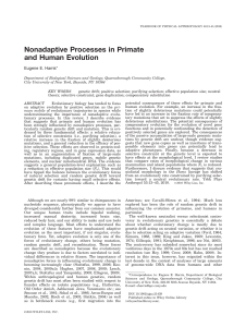 Nonadaptive processes in primate and human evolution