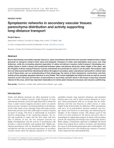 Symplasmic networks in secondary vascular tissues