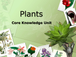 Plant Unit class slides 4.19.16