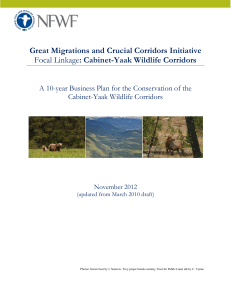 Great Migrations and Crucial Corridors Initiative Focal Linkage