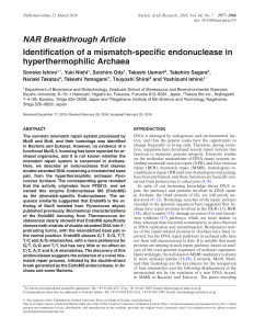 NAR Breakthrough Article Identification of a mismatch