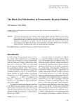 The Black Sea Meiobenthos in Permanently Hypoxic Habitat