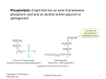 A lipid that has an ester link between