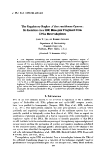 The Regulatory Region of the Larabinose Operon: Its Isolation on a