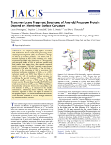 Transmembrane Fragment Structures of Amyloid Precursor Protein