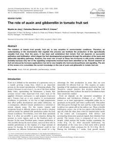 The role of auxin and gibberellin in tomato fruit set