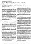 Cytotoxic Effects of Cell Cycle Phase Specific Agents: Result of Cell