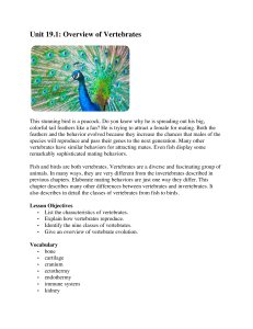 Unit 19.1: Overview of Vertebrates