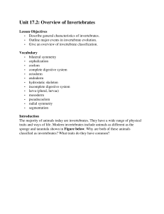 Unit 17.2: Overview of Invertebrates