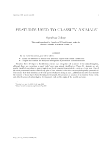Features Used to Classify Animals