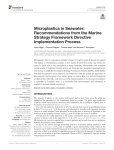 Microplastics in Seawater: Recommendations from the