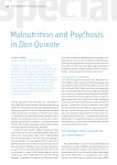 Malnutrition and Psychosis in Don Quixote