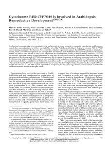 Cytochrome P450 CYP78A9 Is Involved in