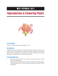 Reproduction in Flowering Plants