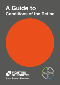 A Guide to Conditions of the Retina