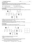 11.1 PEDIGREE PRACTICE (1)