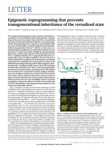 Epigenetic reprogramming that prevents transgenerational