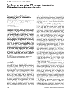 Elg1 forms an alternative RFC complex important for DNA