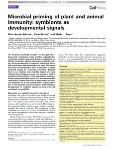 Microbial priming of plant and animal immunity: symbionts as