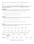 Protein Synthesis Practice