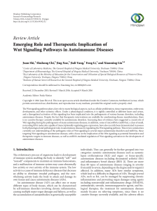Emerging Role and Therapeutic Implication of Wnt Signaling