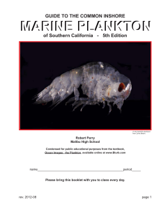 Guide to Plankton - Malibu High School
