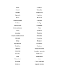 Word List for Concept Map