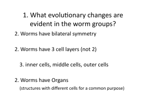 worm notes