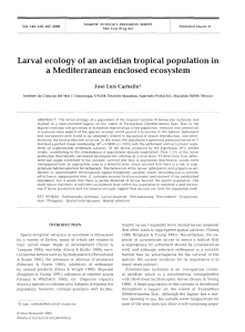 Larval ecology of an ascidian tropical population in a Mediterranean
