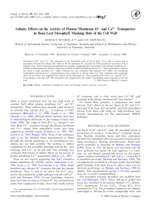 Salinity Effects on the Activity of Plasma Membrane H+ and Ca2+