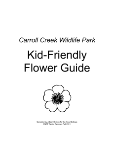 Kid-Friendly Flower Guide