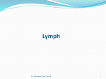 Lymphatic System