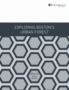 exploring boston`s urban forest