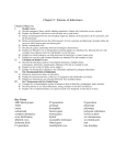 Chapter 9: Patterns of Inheritance